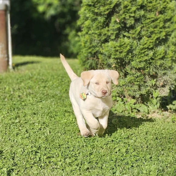 WELCOME ♡ - Picture 7 of 10